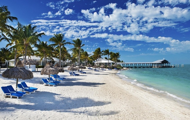 Resultado de imagem para miami praias